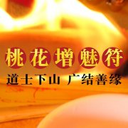 <b>茅山和合术头发符水</b>